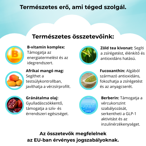 SlimPatch -Gyorsabb fogyást segítő tapasz