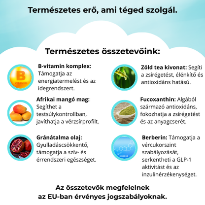 SlimPatch -Gyorsabb fogyást segítő tapasz