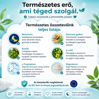 SomniaPatch-Alvást segítő és javító tapasz