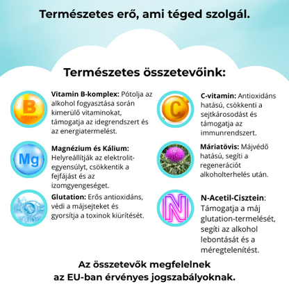 ResetPatch-Másnaposság elleni tapasz